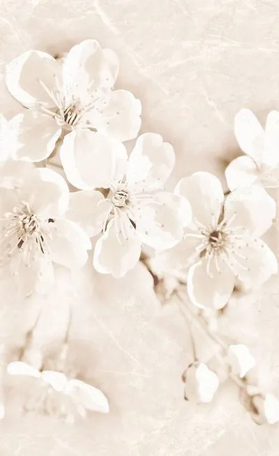 Декор Cersanit SOFI INSERTO FLOWER 25X40, Фото