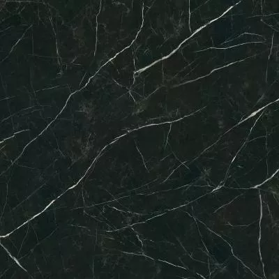 Плитка Paradyz DESIRE BLACK GRES REKT. POLER 120x120, Фото