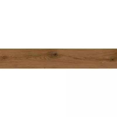 Плитка Ecoceramic Dynamic Noce 20х120, Фото