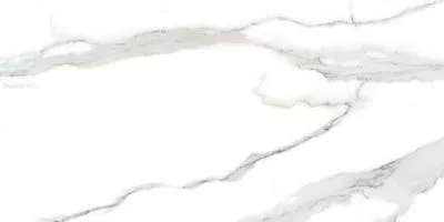 Плитка Raviraj Empresh Grey 60x120 carving matt, Фото