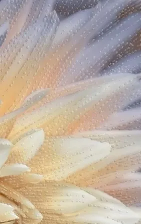 Плитка Golden Tile Fiori И9Б311, Фото