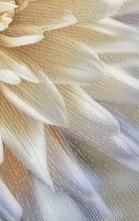 Плитка Golden Tile Fiori И9Б331, Фото