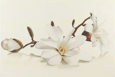 Декор Opoczno Flora inserto magnolia, Фото