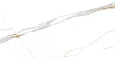 Плитка CERAMA MARKET GLYSTER AXIS GLOSSY INK 60х120, Фото