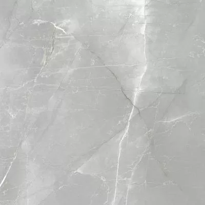 Плитка MEGAGRES Optex GMXN104P GREY POL 60x60, Фото