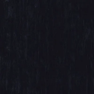 Гомогенний лінолеум Tarkett Standard Plus BLACK 0500, Фото