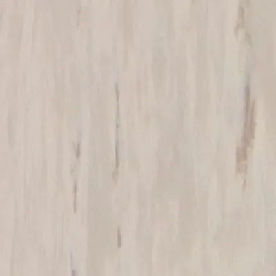 Гомогенний лінолеум Tarkett Standard Plus LIGHT WARM GREY 0910, Фото