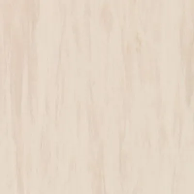 Гомогенный линолеум Tarkett Standard Plus SAND LIGHT 0912, Фото