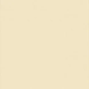 Гомогенний лінолеум Tarkett Wallgard 224, Фото