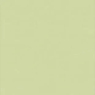 Гомогенний лінолеум Tarkett Wallgard 229, Фото