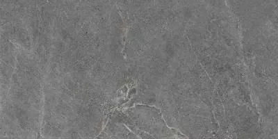 Плитка Cerrad GRES DISTINCT GREY SILKY CRISTAL LAPPATO 1197x597x8, Фото