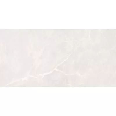 Плитка MONOPOLE FIORI DI BOSCO BEIGE 59х119, Фото