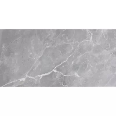 Плитка MONOPOLE FIORI DI BOSCO GREY 59х119, Фото