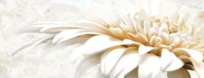 Декор Intercerama Illusione сірий (Д94071-1), Фото