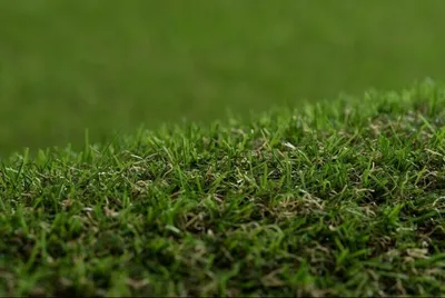 Искусственная трава Betap TERRAZA, Фото