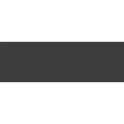 Плитка Saloni BRILLIANT NEGRO 29, 8х89, 8, Фото