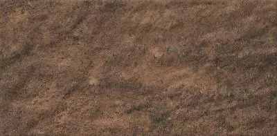 Плитка Cerrad KAMIEN ARGILLA WALNUT 15x30, Фото