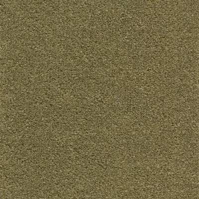 Ковролін Associated Weavers Souplesse 20, Фото