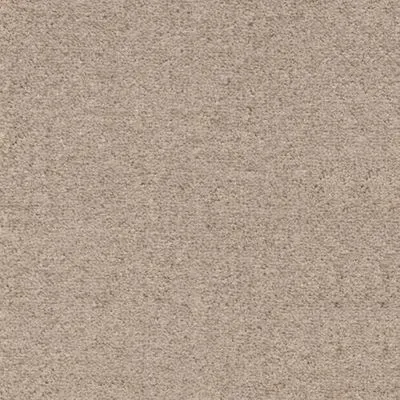 Ковролін Associated Weavers Souplesse 36, Фото