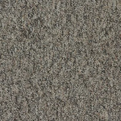 Ковровая плитка Desso Tempra 9095, Фото