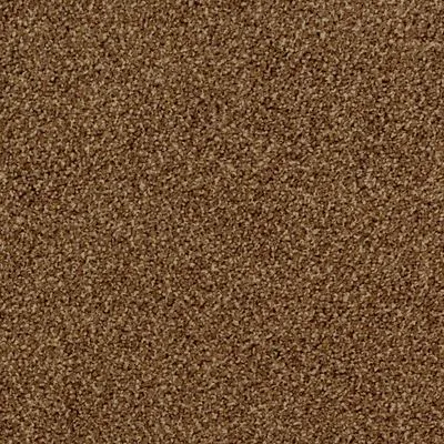 Килимова плитка Desso Torso 2047, Фото