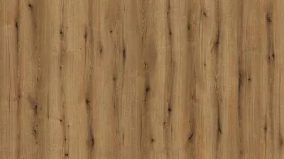 Ламинат Kaindl Natural Touch 8 mm Standard Plank Дуб EVOKE KNOT SUNSET K5574, Фото