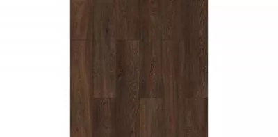 Ламінат Kastamonu Classic plus Lussac Ash KT502, Фото