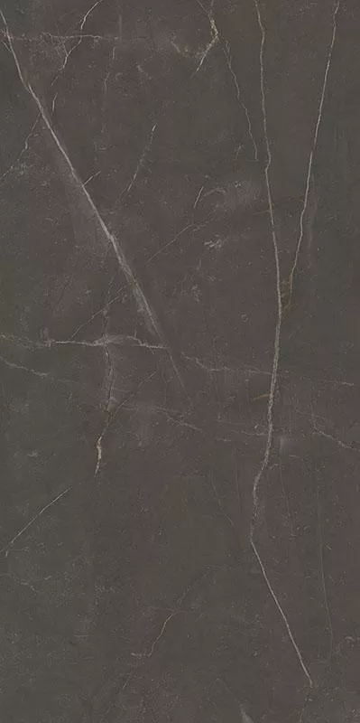 Плитка Paradyz LINEARSTONE BROWN GRES mat 60x120, Фото