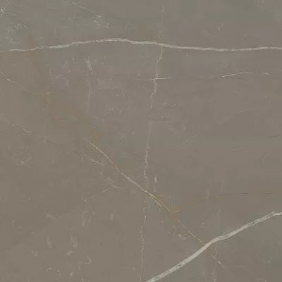 Плитка Paradyz LINEARSTONE TAUPE GRES mat 60x60, Фото