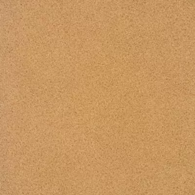 Лінолеум Lentex Orion 466-12, Фото