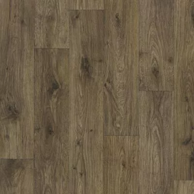 Линолеум Lentex Pioneer 591-12, Фото