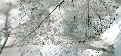 Декор Intercerama Magia Д61071-1, Фото