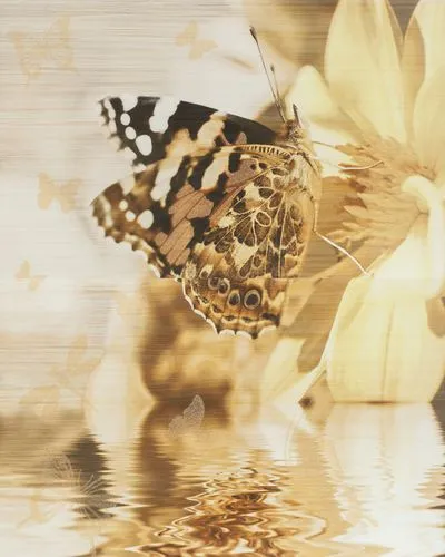 Декор Cersanit Miranda батерфляй декор, Фото