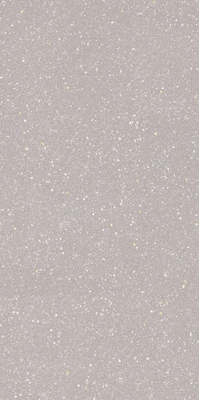 Плитка Paradyz MOONDUST SILVER GRES mat 60x120, Фото