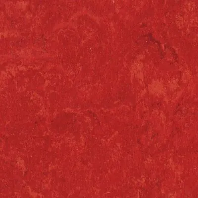 Натуральный линолеум Tarkett Veneto XF 645, Фото