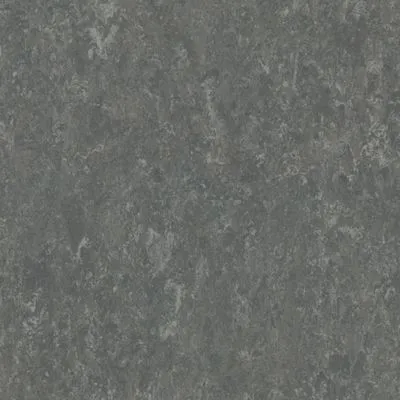 Натуральный линолеум Tarkett Veneto XF 917, Фото