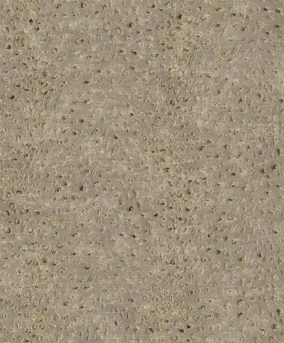 Обои Khroma CABINET CAB803, Фото