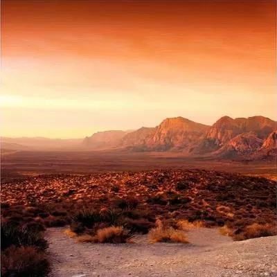 Обои MARBURG DUNE 32548, Фото