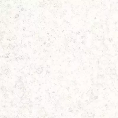 Шпалери MARBURG PLATINUM 31025, Фото