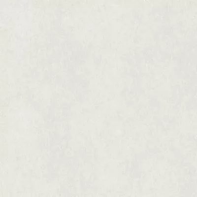 Обои Rasch Raymond 957303, Фото