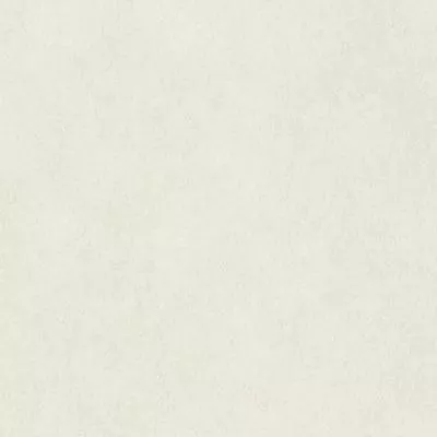 Обои Rasch Raymond 957327, Фото