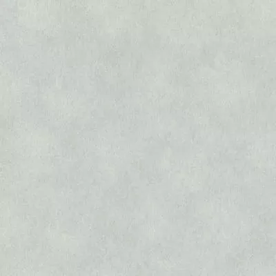 Обои Rasch Raymond 957341, Фото