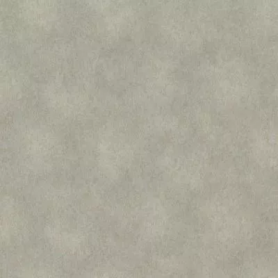 Обои Rasch Raymond 957365, Фото