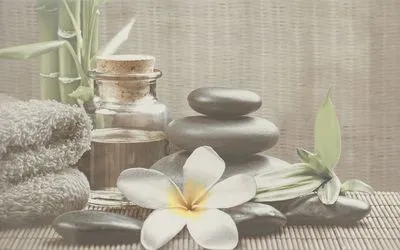 Декор Cersanit Olivia SPA 1 сіра, Фото