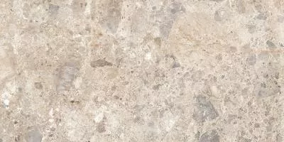 Плитка Ragno Eterna Mix Multicolor Rett R8Jn 60x120, Фото