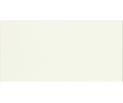 Плитка Alaplana Aspen BLANCO BRILLO 50x25, Фото