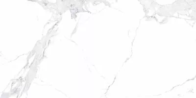 Плитка Allore Group AVENZO SILVER MAT 60x120, Фото