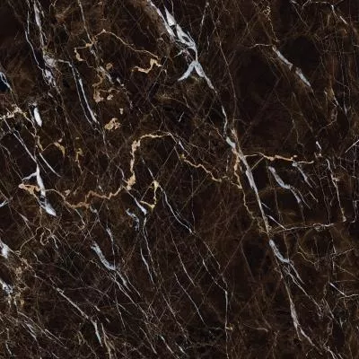 Плитка Allore Group Pulpis Brown F P 600x600x8 R Full lappato, Фото