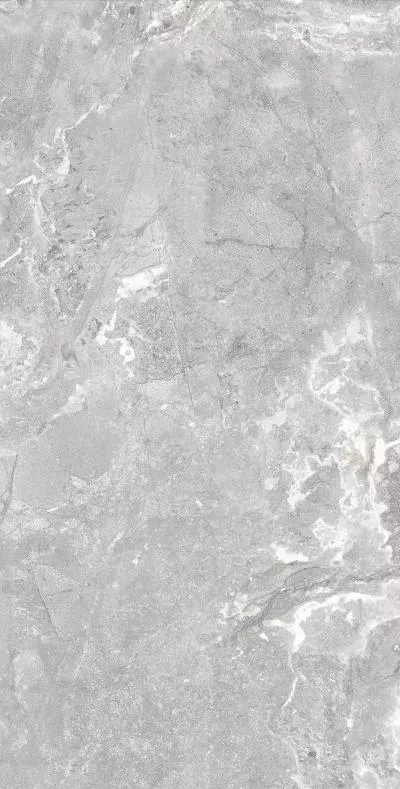 Плитка Allore Group Snake stone Silver 120x60 Mat, Фото