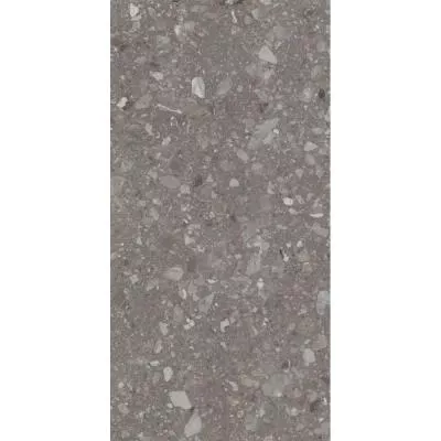 Плитка Allore Group Terra Grey 60x120, Фото